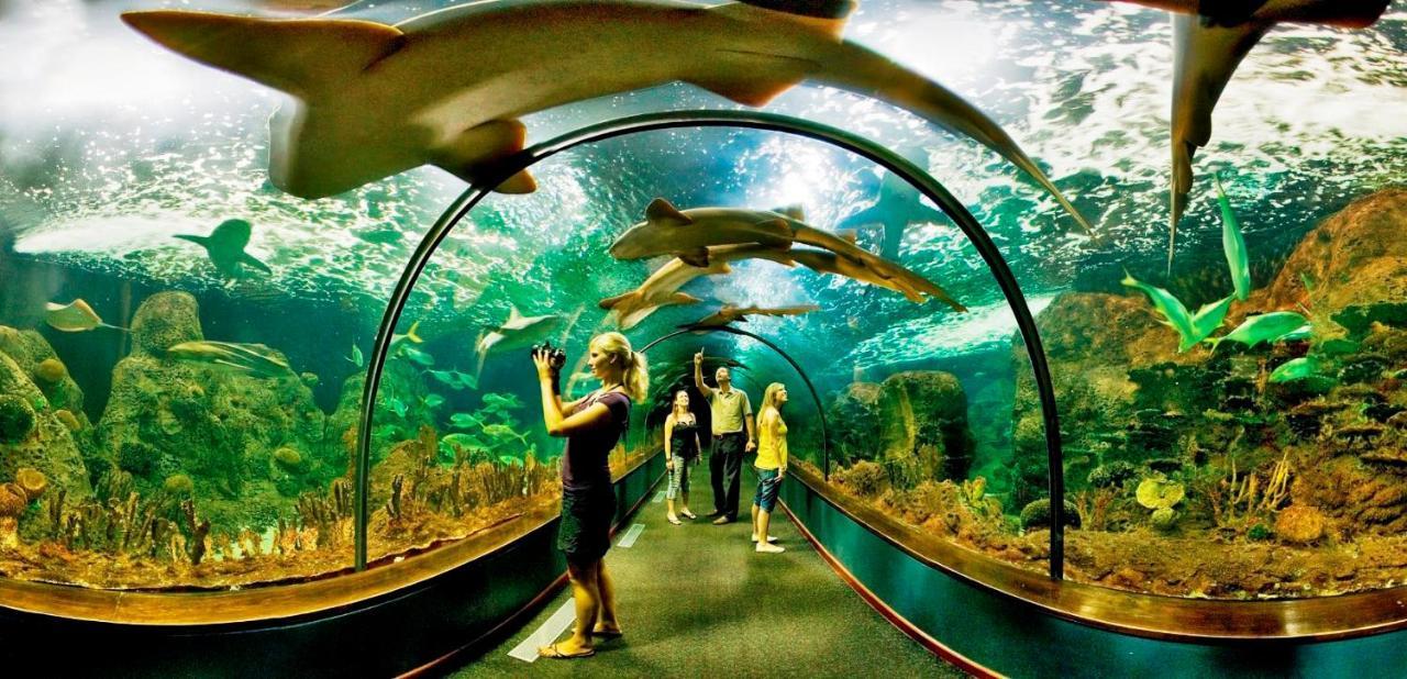 شقة سان ميغيل ذي أبونا  في Albatros Park Amarilla Golf Piscina Climatizada, Wifi المظهر الخارجي الصورة