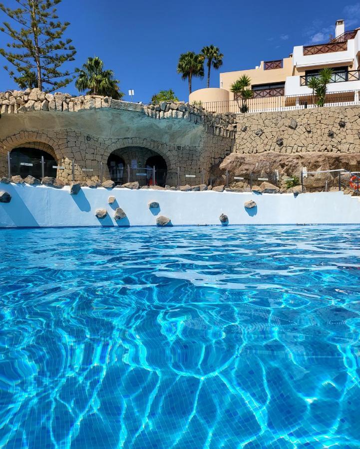 شقة سان ميغيل ذي أبونا  في Albatros Park Amarilla Golf Piscina Climatizada, Wifi المظهر الخارجي الصورة